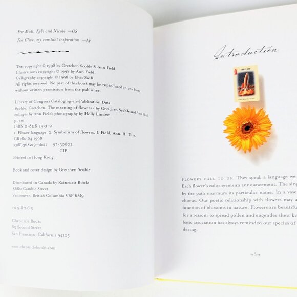 The Meaning of Flowers bright yellow book with Victorian floral illustrations - Picture 11 of 16